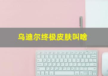 乌迪尔终极皮肤叫啥