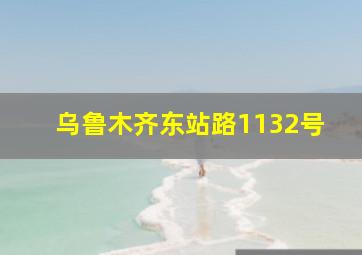 乌鲁木齐东站路1132号