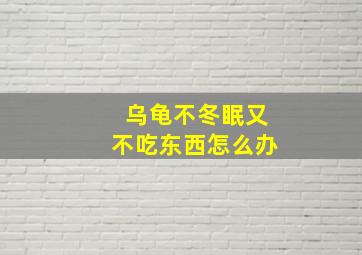 乌龟不冬眠又不吃东西怎么办