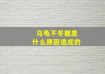 乌龟不冬眠是什么原因造成的