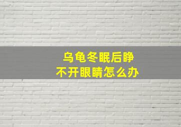 乌龟冬眠后睁不开眼睛怎么办