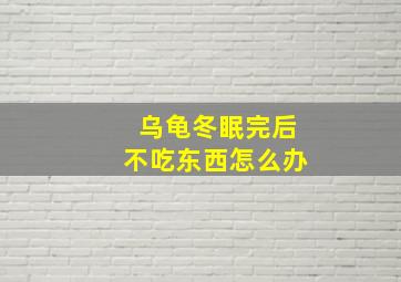 乌龟冬眠完后不吃东西怎么办