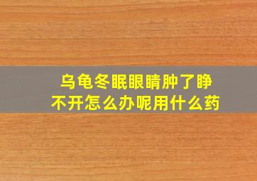 乌龟冬眠眼睛肿了睁不开怎么办呢用什么药