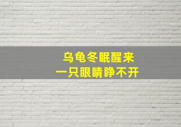 乌龟冬眠醒来一只眼睛睁不开