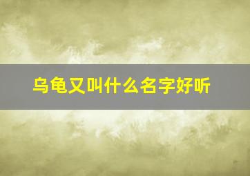 乌龟又叫什么名字好听