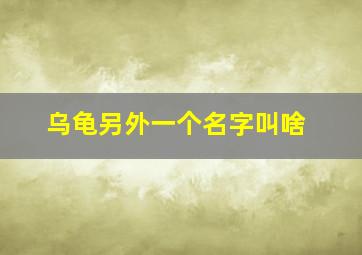 乌龟另外一个名字叫啥