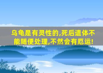 乌龟是有灵性的,死后遗体不能随便处理,不然会有厄运!