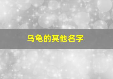 乌龟的其他名字