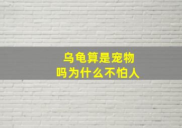 乌龟算是宠物吗为什么不怕人