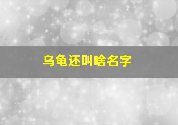 乌龟还叫啥名字