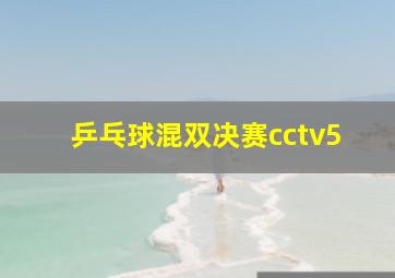 乒乓球混双决赛cctv5