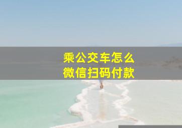 乘公交车怎么微信扫码付款