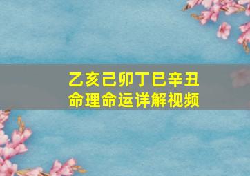 乙亥己卯丁巳辛丑命理命运详解视频