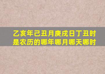 乙亥年己丑月庚戌日丁丑时是农历的哪年哪月哪天哪时