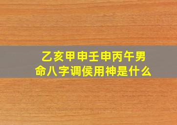 乙亥甲申壬申丙午男命八字调侯用神是什么