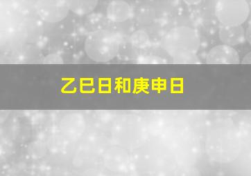 乙巳日和庚申日