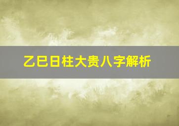 乙巳日柱大贵八字解析