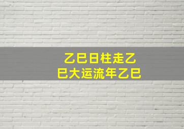 乙巳日柱走乙巳大运流年乙巳