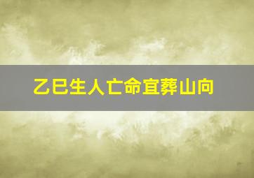 乙巳生人亡命宜葬山向