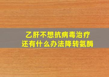 乙肝不想抗病毒治疗还有什么办法降转氨酶