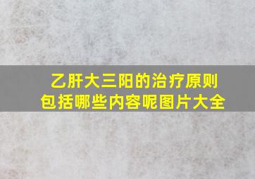 乙肝大三阳的治疗原则包括哪些内容呢图片大全