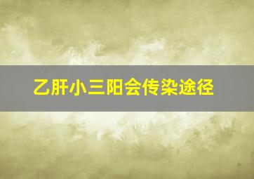 乙肝小三阳会传染途径