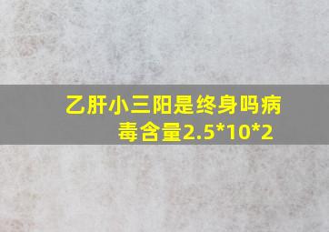 乙肝小三阳是终身吗病毒含量2.5*10*2