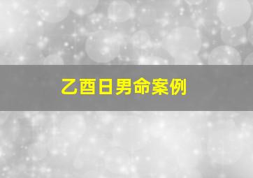 乙酉日男命案例