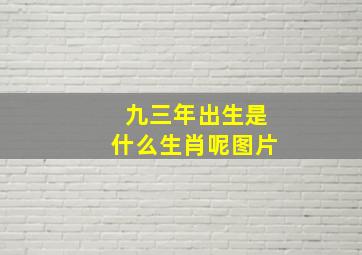 九三年出生是什么生肖呢图片