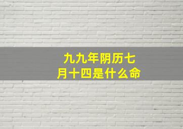 九九年阴历七月十四是什么命