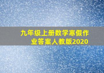 九年级上册数学寒假作业答案人教版2020