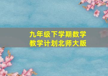 九年级下学期数学教学计划北师大版