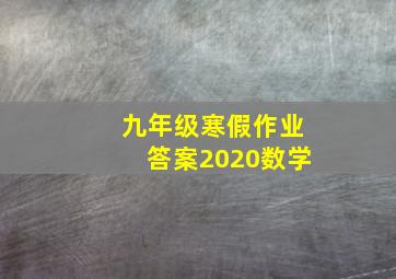 九年级寒假作业答案2020数学