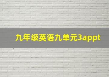 九年级英语九单元3appt