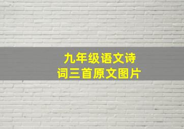 九年级语文诗词三首原文图片