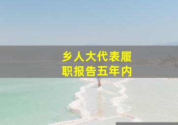 乡人大代表履职报告五年内