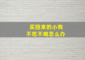 买回来的小狗不吃不喝怎么办