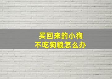 买回来的小狗不吃狗粮怎么办