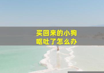 买回来的小狗呕吐了怎么办