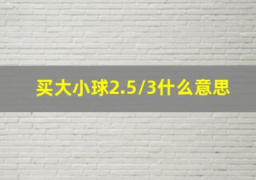 买大小球2.5/3什么意思