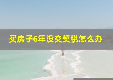 买房子6年没交契税怎么办