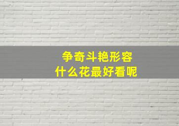 争奇斗艳形容什么花最好看呢