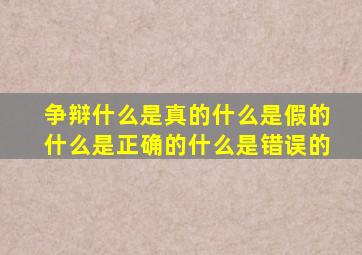 争辩什么是真的什么是假的什么是正确的什么是错误的