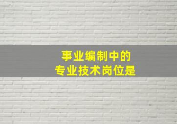 事业编制中的专业技术岗位是