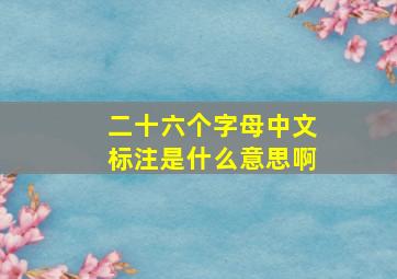 二十六个字母中文标注是什么意思啊