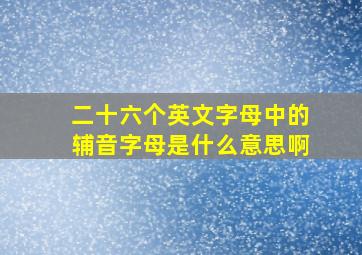 二十六个英文字母中的辅音字母是什么意思啊