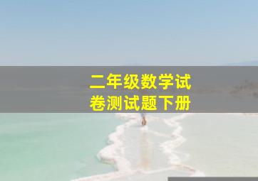 二年级数学试卷测试题下册