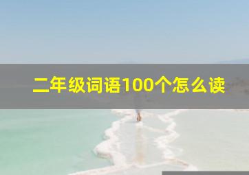 二年级词语100个怎么读