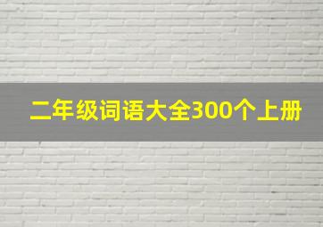 二年级词语大全300个上册