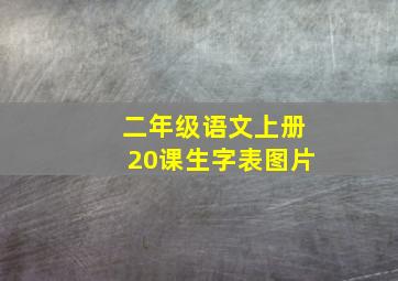 二年级语文上册20课生字表图片